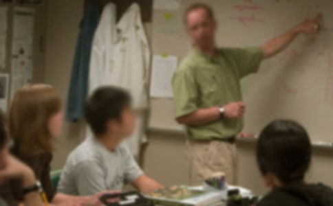 英语老师工作总结(集合15篇)