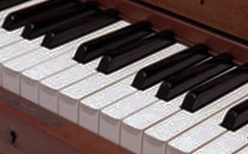 神奇的乐器作文300字