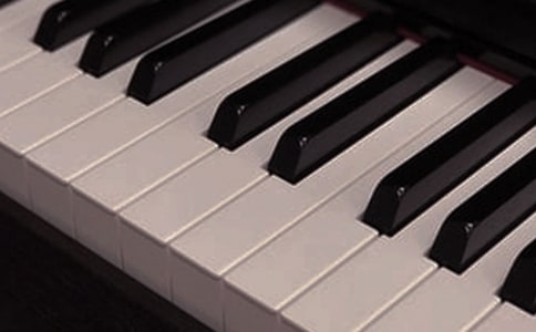 乐器我懂你的作文