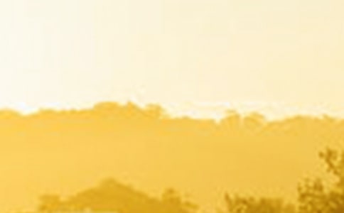 吾独爱黎明作文600字(精选15篇)