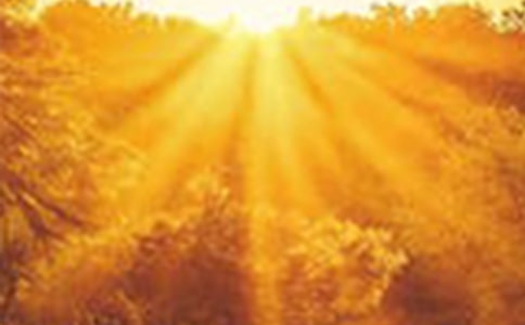 �غ������������500��