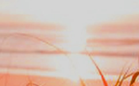 走过乡间黎明作文