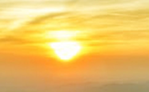 读《守到黎明见花开》有感