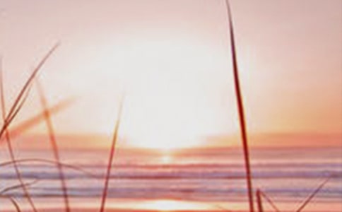 ����ǰ�ĺڰ�����1000��