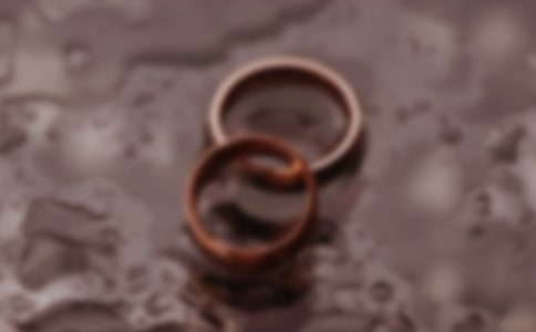 (��)�������Э��������5ƪ