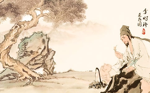 《李时珍》教案十篇