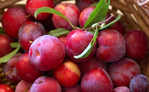 ����Сѧ����