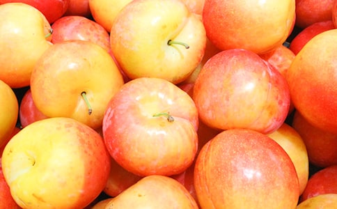 ���������������༼��Ҫ��