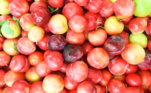 初中作文李子的教训