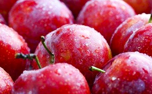 关于李子的保鲜时间及种植技术