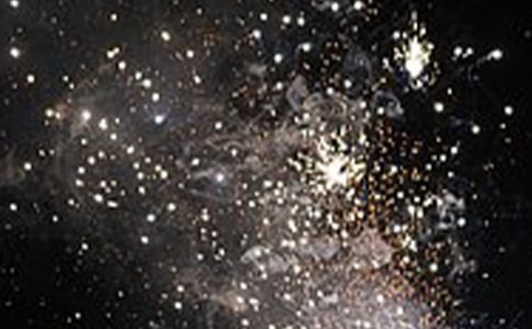 缤纷礼花庆龙年作文