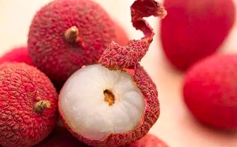 ������֦������[����15ƪ]