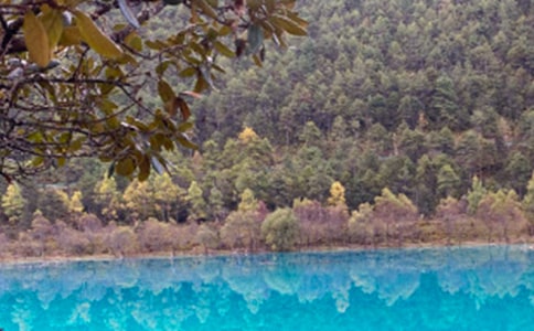 �����ų���Ӣ�ĵ��δ�