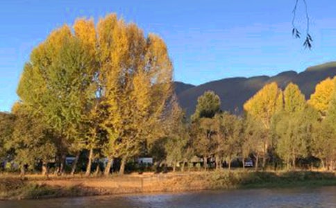 �����μ�����700��-�����μ�����