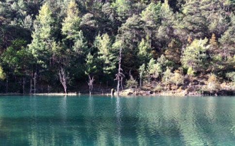 �����ųǵ��δ�