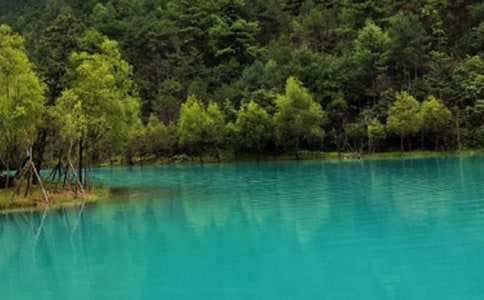 ������ɼƺ���δʷ���