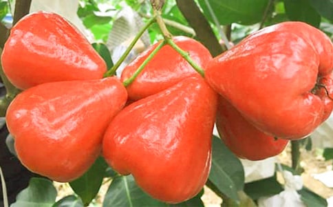 �������꼶����