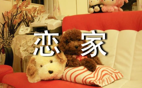 ������_Сѧ����