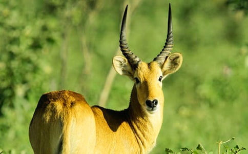 ����ľ�����С�����15ƪ��