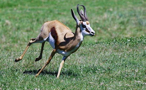 ��������Ĺ���и�