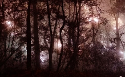 �ʺ��賿���㷢��˵˵