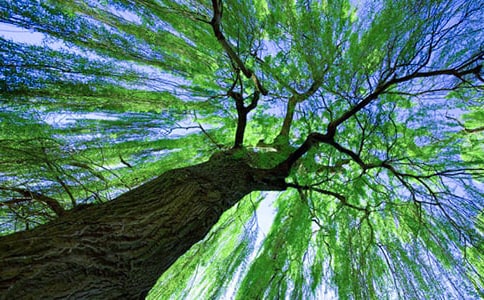 2023���й����������ľ��ӻ��40��