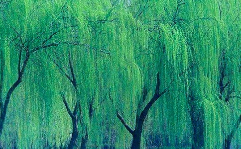 ���������ˡ���ѧ���