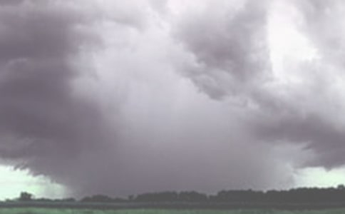 ���������������