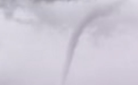 Сѧ���꼶����550�֣��Ը����ǰ��ϵġ������硱ҩ��