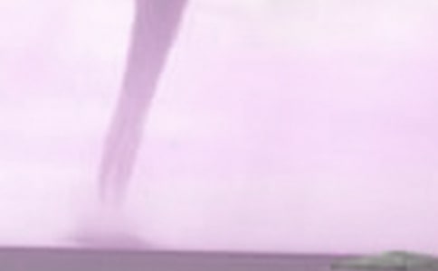 我一阵龙卷风的日记_750字