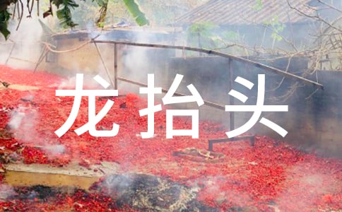 ���¶���̧ͷ������