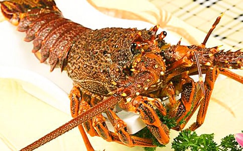 ׽��Ϻ����(����11ƪ)