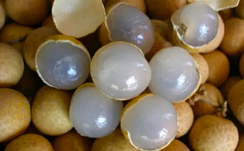 关于摘龙眼的600作文(通用16篇)