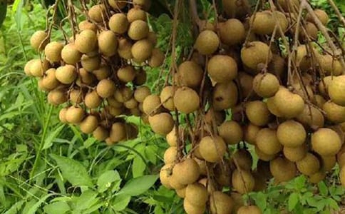 �Ұ��������������