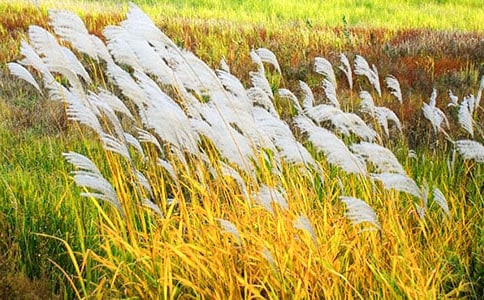 ��«έ������������