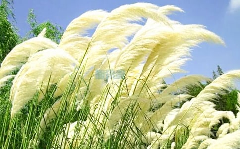 �й���«έ�����ģ�ͨ��23ƪ��