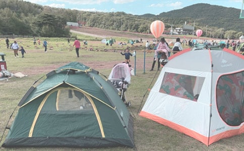 大露营叙事作文