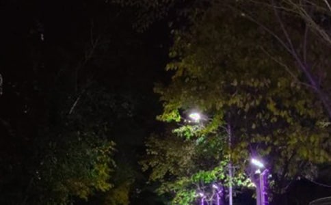 ·��ѧ������8ƪ