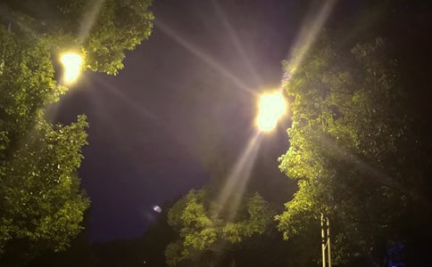 路灯的自述作文(精选22篇)