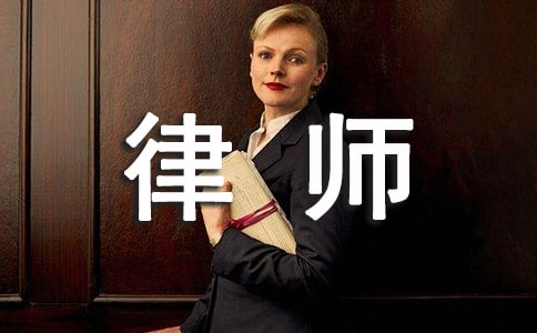 年度律师个人工作总结