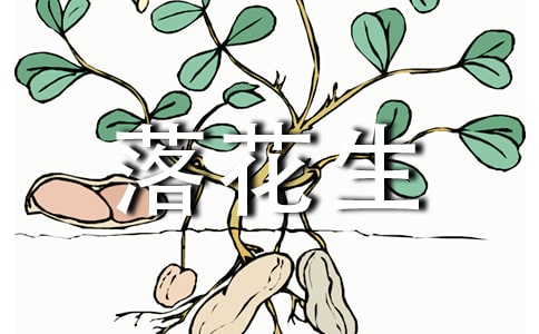 读落花生有感100字作文