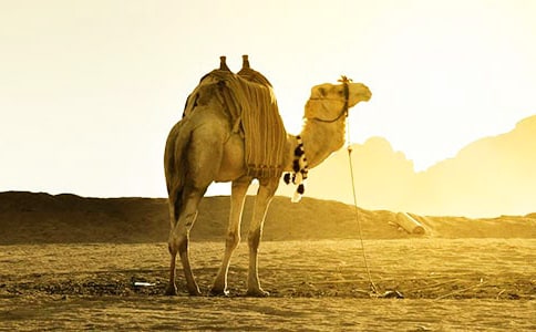 ����Ѱ���ǽ̰�