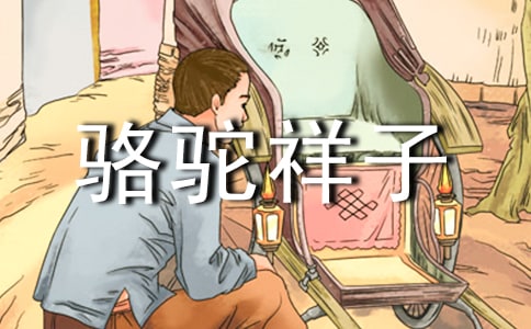 �������Ӷ����