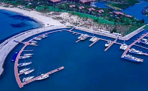 关于码头风云的想象作文