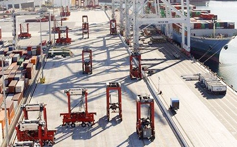 去蛇口码头作文200字