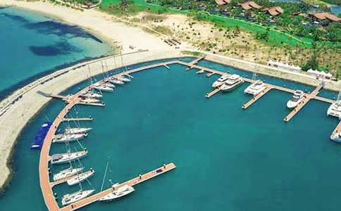 愉快的码头赶集行作文