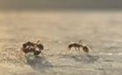 12��������ô����ˡ���ѧ���1