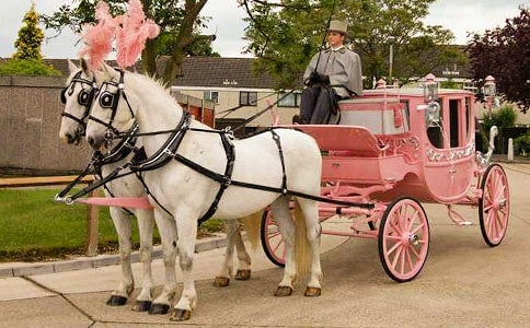 ��ʮ����ڶ���Ԫ�ʵ������������Ҹ衷�̰���˼