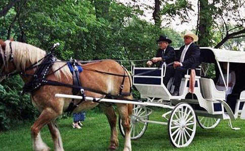 我们村里的三驾马车散文