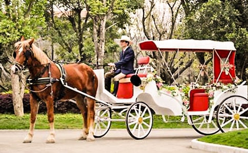 《时间像小马车》的教学反思范文
